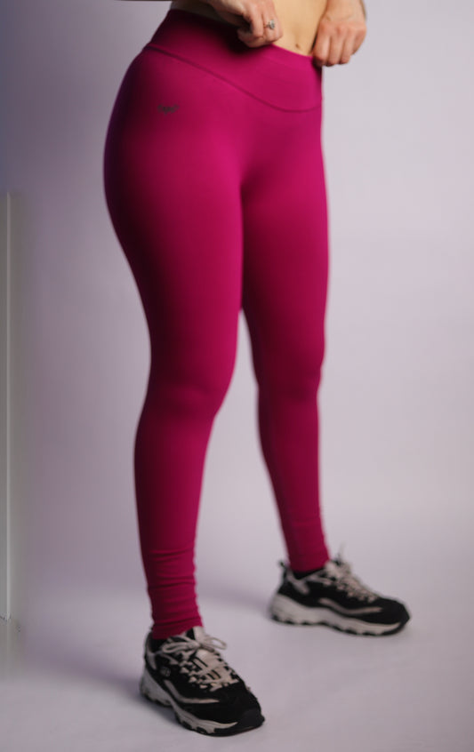 𝗘̘̚𝗿̘̚𝗿̘̚𝗼̘̚𝗿̘̚ 𝟰̘̚𝟬̘̚𝟰̘̚: Dawn - Nullweaver Leggings in Roseate