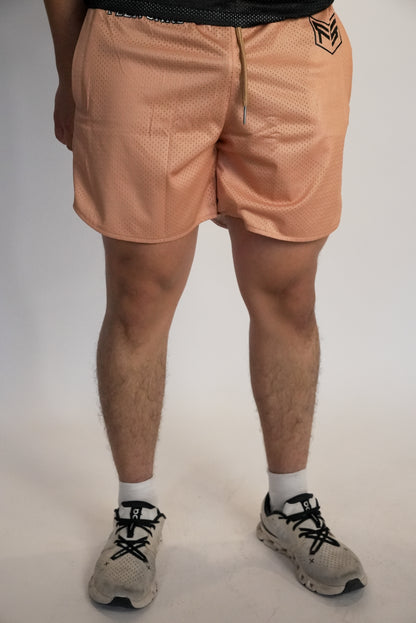 Track 24 Shorts