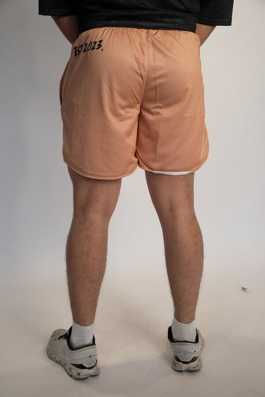 Track 24 Shorts